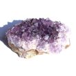 Amethyst Kristallstufe / Ladestufe mitteldunkel (Brasilien) - Sonderqualität - ca. 5,7 cm x 3,6 cm x 2,3 cm