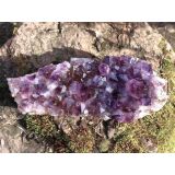 Amethyst Kristallstufe / Ladestufe mitteldunkel (Brasilien) - AA-Sonderqualität - ca. 30 cm x 12 cm x 8 cm