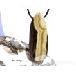 Schalenblende XXXL Schmuckstein Cabochon / Scheibenstein gebohrt - Rarität - AA-Sonderqualität - ca. 5,9 cm x 2,3 cm x 1,1 cm - Sonderpreis Makel -