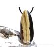 Schalenblende XXXL Schmuckstein Cabochon / Scheibenstein gebohrt - Rarität - AA-Sonderqualität - ca. 5,9 cm x 2,3 cm x 1,1 cm - Sonderpreis Makel -