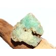 Chrysopras Rohstein - Rarität - ca. 3,2 cm x 3,2 cm x 1,8 cm (Fairer Handel / GKS)