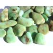 Chrysopras Trommelsteine - ca. 1,8 - 3,2 cm / ca. 3-5g/St
