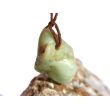 Chrysopras Trommelstein gebohrt - ca. 2,5 cm x 1,9 cm x 1,7 cm