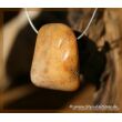 Versteinerte Koralle Trommelstein gebohrt - ca. 3,2 cm x 2,6 cm x 1,5 cm (GKS)