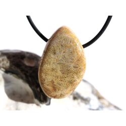 Versteinerte Koralle Trommelstein gebohrt - Sonderqualitt - ca. 3,2 cm x 2 cm x 1,7 cm