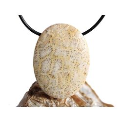 Versteinerte Koralle XXL Schmuckstein Cabochon /...