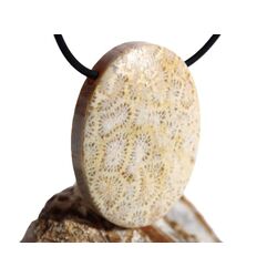 Versteinerte Koralle XXL Schmuckstein Cabochon / Scheibenstein gebohrt - ca. 4 cm x 3 cm x 1 cm