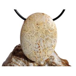 Versteinerte Koralle XXL Schmuckstein Cabochon / Scheibenstein gebohrt - ca. 4 cm x 3 cm x 1 cm