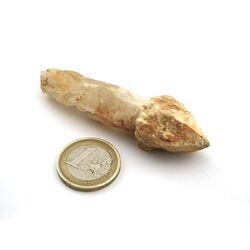 Bergkristall Zepterquarz / Szepterquarz Natur-Kristall - Rarit�t - ca. 7,4 cm x 2,8 cm x 2,1 cm