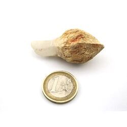 Bergkristall Zepterquarz / Szepterquarz Natur-Kristall - Rarit�t - ca. 5 cm x 2,3 cm x 2,2 cm