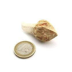 Bergkristall Zepterquarz / Szepterquarz Natur-Kristall - Rarit�t - ca. 5 cm x 2,3 cm x 2,2 cm