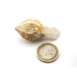 Bergkristall Zepterquarz / Szepterquarz Natur-Kristall -...