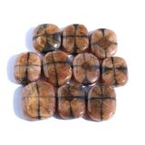 Chiastolith (Andalusit / Kreuzstein) XL Scheibensteine /...