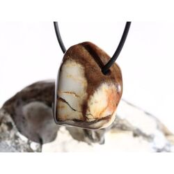 Peanutwood (versteinertes Holz) Trommelstein gebohrt - Sonderqualitt - Raritt - ca. 3 cm x 2,7 cm x 2 cm