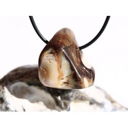 Peanutwood (versteinertes Holz) Trommelstein gebohrt - Sonderqualitt - Raritt - ca. 3 cm x 2,7 cm x 2 cm