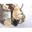 Versteinertes Palmholz XXXL Schmuckstein Cabochon / Scheibenstein gebohrt - AA-Sonderqualität - ca. 6,5 cm x 2,5 cm x 0,9 cm