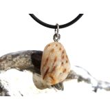 Versteinertes Palmholz Trommelstein - Anhänger Öse Schmuckdose - Sonderqualität - ca. 3,1 cm x 1,4 cm x 0,8 cm