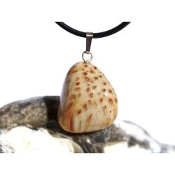 Versteinertes Palmholz Trommelstein - Anhänger Silberöse Schmuckdose - Sonderqualität - ca. 3 cm x 1,8 cm x 0,9 cm