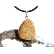 Versteinertes Palmholz Trommelstein - Anhänger Silberöse Schmuckdose - Sonderqualität - ca. 3 cm x 1,8 cm x 0,9 cm