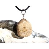 Versteinertes Palmholz Scheibenstein - Anhänger Öse Schmuckdose - Sonderqualität - ca. 3,3 cm x 1,8 cm x 0,9 cm