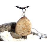 Versteinertes Palmholz Scheibenstein - Anhänger Öse Schmuckdose - Sonderqualität - ca. 3,3 cm x 1,8 cm x 0,9 cm