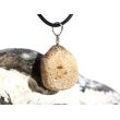 Versteinertes Palmholz Scheibenstein - Anhänger Öse Schmuckdose - Sonderqualität - ca. 3,3 cm x 1,8 cm x 0,9 cm