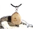 Versteinertes Palmholz Scheibenstein - Anhänger Öse Schmuckdose - Sonderqualität - ca. 3,3 cm x 1,8 cm x 0,9 cm