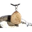 Versteinertes Palmholz Scheibenstein - Anhänger Öse Schmuckdose - Sonderqualität - ca. 3,3 cm x 1,8 cm x 0,9 cm