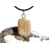 Versteinertes Palmholz Scheibenstein - Anhänger Öse Schmuckdose - Sonderqualität - ca. 3,5 cm x 1,7 cm x 0,9 cm