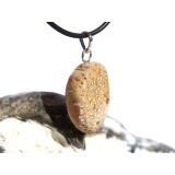 Versteinertes Palmholz Scheibenstein - Anhänger Öse Schmuckdose - Sonderqualität - ca. 3,5 cm x 1,7 cm x 0,9 cm