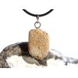 Versteinertes Palmholz Scheibenstein - Anhänger Öse Schmuckdose - Sonderqualität - ca. 3,5 cm x 1,7 cm x 0,9 cm