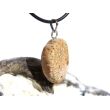 Versteinertes Palmholz Scheibenstein - Anhänger Öse Schmuckdose - Sonderqualität - ca. 3,5 cm x 1,7 cm x 0,9 cm