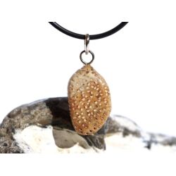 Versteinertes Palmholz Scheibenstein - Anhänger Öse Schmuckdose - Sonderqualität - ca. 3,3 cm x 1,5 cm x 0,8 cm