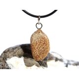 Versteinertes Palmholz Scheibenstein - Anhänger Öse Schmuckdose - Sonderqualität - ca. 3,3 cm x 1,5 cm x 0,8 cm