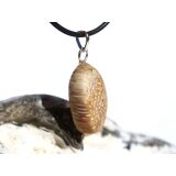 Versteinertes Palmholz Scheibenstein - Anhänger Öse Schmuckdose - Sonderqualität - ca. 3,3 cm x 1,5 cm x 0,8 cm
