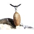 Versteinertes Palmholz Scheibenstein - Anhänger Öse Schmuckdose - Sonderqualität - ca. 3,3 cm x 1,5 cm x 0,8 cm