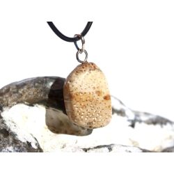 Versteinertes Palmholz Scheibenstein - Anhänger Öse Schmuckdose - Sonderqualität - ca. 3,5 cm x 1,6 cm x 0,9 cm
