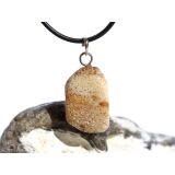 Versteinertes Palmholz Scheibenstein - Anhänger Öse Schmuckdose - Sonderqualität - ca. 3,5 cm x 1,6 cm x 0,9 cm