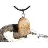 Versteinertes Palmholz Scheibenstein - Anhänger Öse Schmuckdose - Sonderqualität - ca. 3,5 cm x 1,6 cm x 0,9 cm