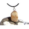 Versteinertes Palmholz Scheibenstein - Anhänger Öse Schmuckdose - Sonderqualität - ca. 3,5 cm x 1,6 cm x 0,9 cm