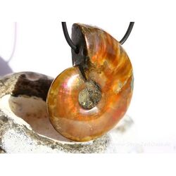 Ammonit XXXL Schmuckstein gebohrt (ganz - irisierend) - Sonderqualitt - ca. 5 cm x 3,9 cm x 1,4 cm
