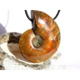 Ammonit XXXL Schmuckstein gebohrt (ganz - irisierend) - Sonderqualität - ca. 5 cm x 3,9 cm x 1,4 cm