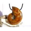 Ammonit XXXL Schmuckstein gebohrt (ganz - irisierend) - Sonderqualität - ca. 5 cm x 3,9 cm x 1,4 cm