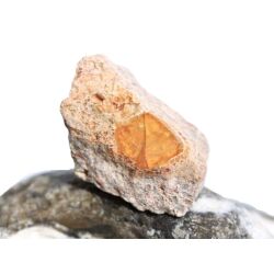 Feueropal Rohstein - Rarität - Sonderqualität - ca. 2,4 cm x 1,6 cm x 1,4 cm