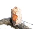 Feueropal Rohstein - Rarität - Sonderqualität - ca. 2,4 cm x 1,6 cm x 1,4 cm