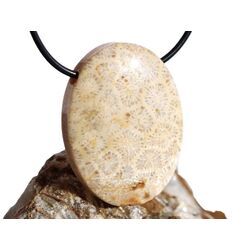 Versteinerte Koralle XXL Schmuckstein Cabochon / Scheibenstein gebohrt - ca. 4 cm x 3 cm x 0,9 cm