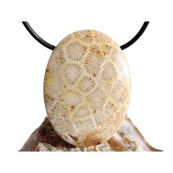 Versteinerte Koralle XXL Schmuckstein Cabochon / Scheibenstein gebohrt - ca. 4 cm x 3 cm x 0,9 cm