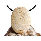 Versteinerte Koralle XXL Schmuckstein Cabochon /...