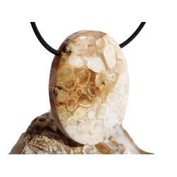 Versteinerte Koralle XXL Schmuckstein Cabochon / Scheibenstein gebohrt - ca. 4 cm x 3 cm x 0,9 cm