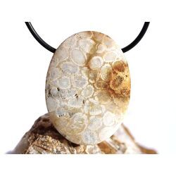 Versteinerte Koralle XXL Schmuckstein Cabochon / Scheibenstein gebohrt - ca. 4 cm x 3 cm x 0,9 cm